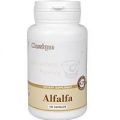 Alfalfa (Альфальфа, люцерна) — биологически активная добавка (БАД) Santegra (Сантегра), ранее Enrich (Инрич)
