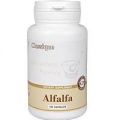 Alfalfa (Альфальфа, люцерна) — биологически активная добавка (БАД) Santegra (Сантегра), ранее Enrich (Инрич)