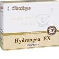 Hydrangea EX (Экстракт Корня Гортензии) — Биологически Активная Добавка к пище (БАД) Santegra (Сантегра), ранее Enrich (Инрич)